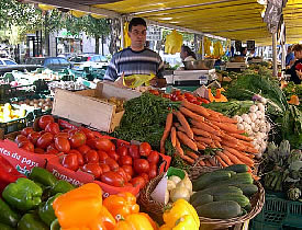 elsasser.ch, Marché